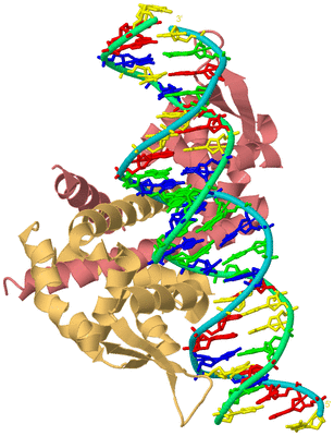 Image Biological Unit 4