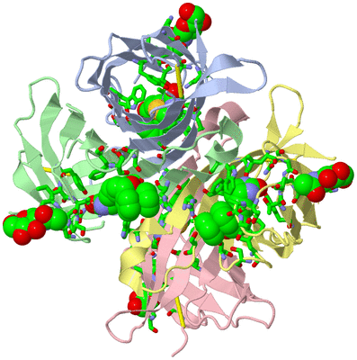 Image Asym./Biol. Unit - sites