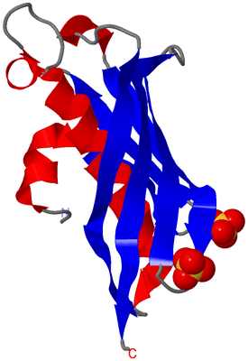 Image Asymmetric Unit