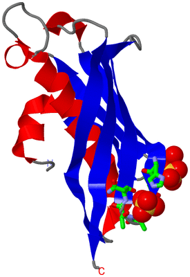 Image Asym. Unit - sites