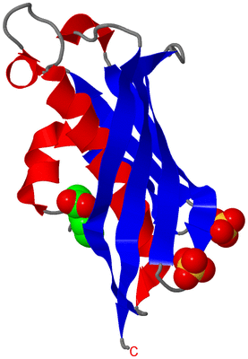 Image Asymmetric Unit