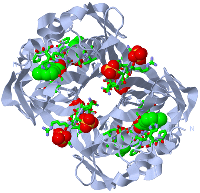 Image Biol. Unit 1 - sites