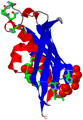 Image Asym. Unit - sites