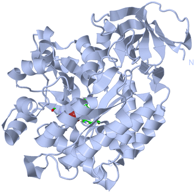 Image Biol. Unit 1 - sites