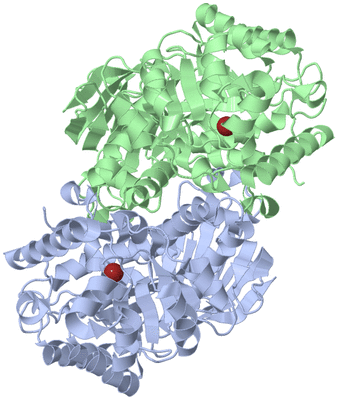 Image Biological Unit 3