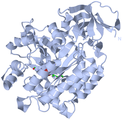 Image Biol. Unit 1 - sites