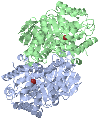 Image Biological Unit 3