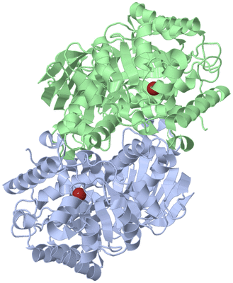 Image Biological Unit 3