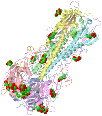 Image Asym./Biol. Unit