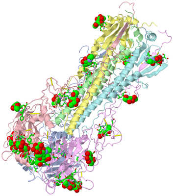 Image Asym./Biol. Unit - sites