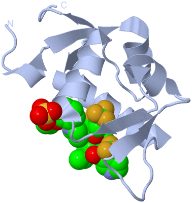 Image Biological Unit 1