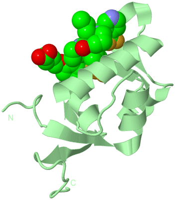 Image Biological Unit 2