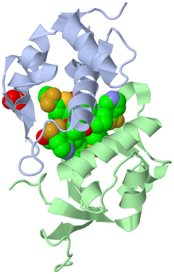 Image Biological Unit 3