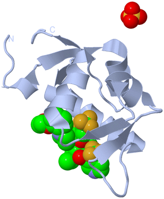 Image Biological Unit 1