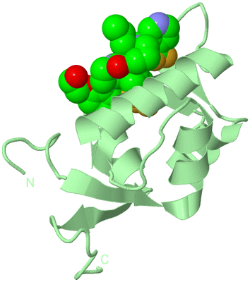 Image Biological Unit 2