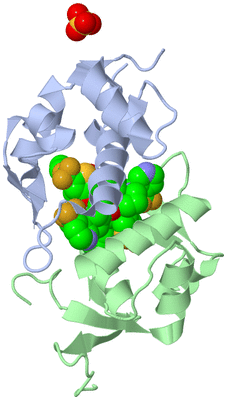 Image Biological Unit 3