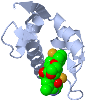 Image Biological Unit 1