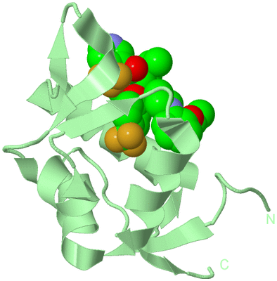 Image Biological Unit 2