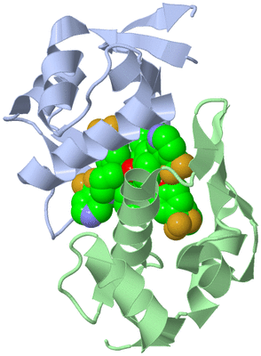 Image Biological Unit 3