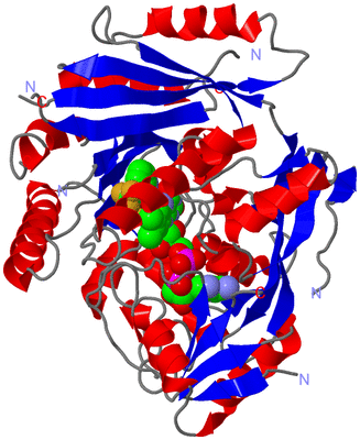 Image Asym./Biol. Unit