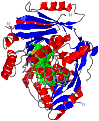 Image Asym./Biol. Unit - sites