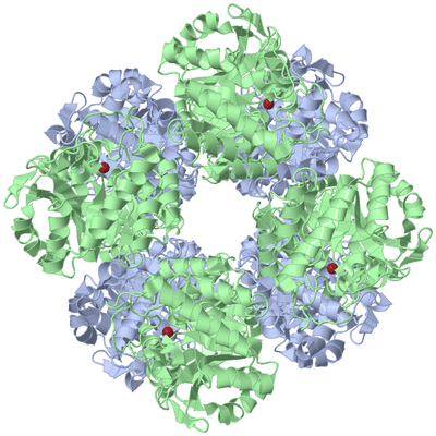 Image Biological Unit 1