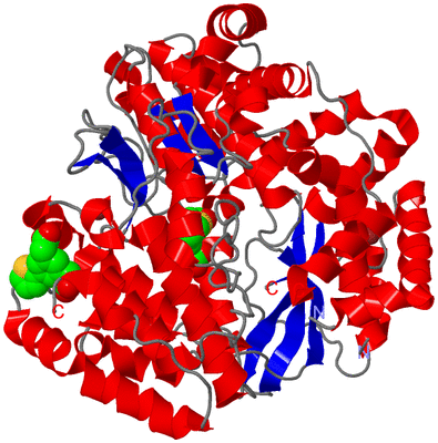 Image Asym./Biol. Unit