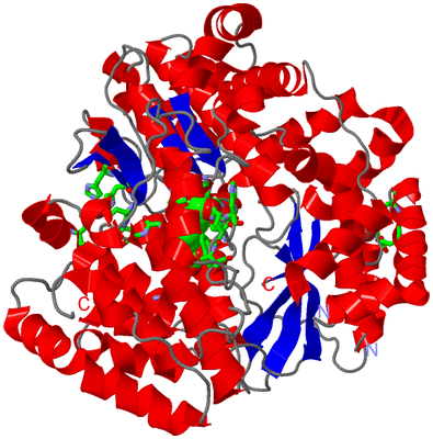 Image Asym./Biol. Unit - sites