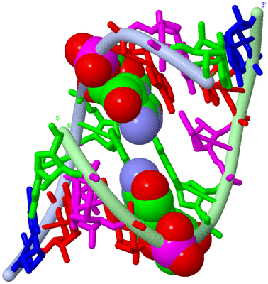 Image Biological Unit 1