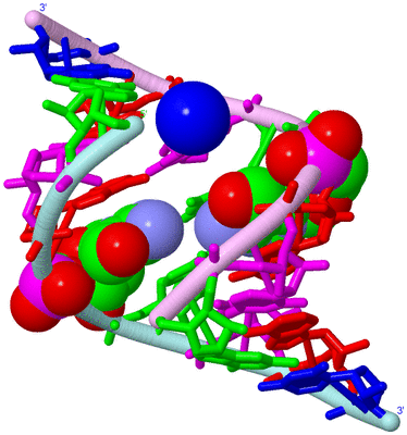 Image Biological Unit 3