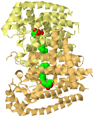 Image Biological Unit 3