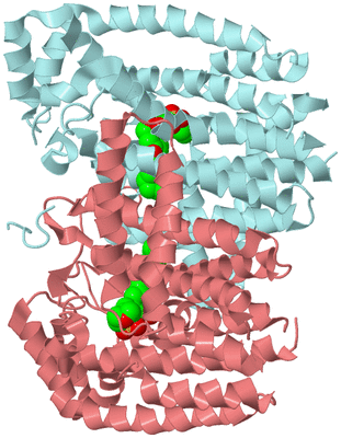 Image Biological Unit 4