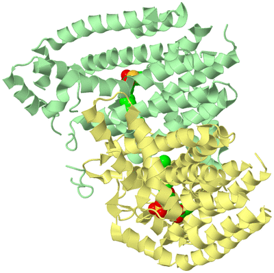 Image Biological Unit 2