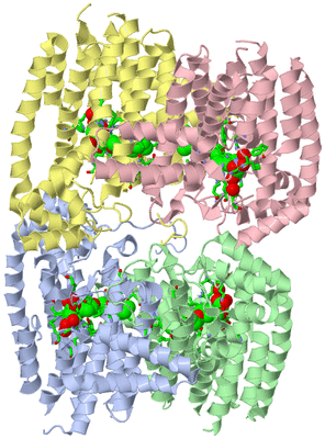 Image Asym. Unit - sites