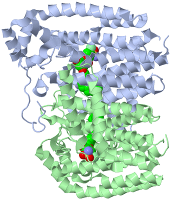 Image Biological Unit 1