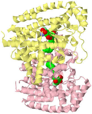 Image Biological Unit 2