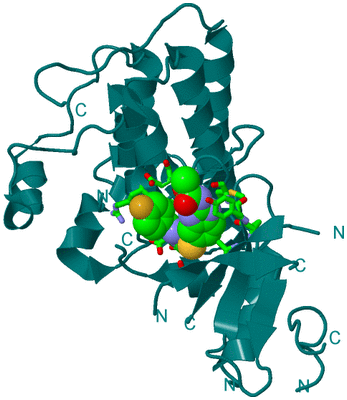 Image Biol. Unit 1 - sites