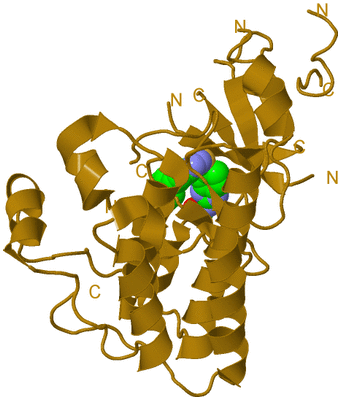 Image Biological Unit 2