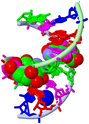 Image Biological Unit 1