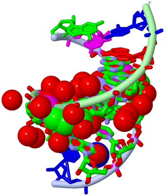 Image Biol. Unit 1 - sites