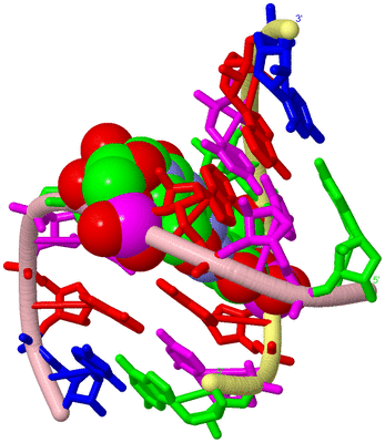 Image Biological Unit 2