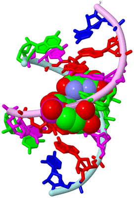 Image Biological Unit 3