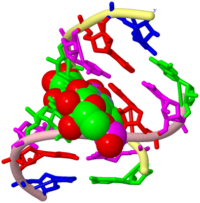 Image Biological Unit 2