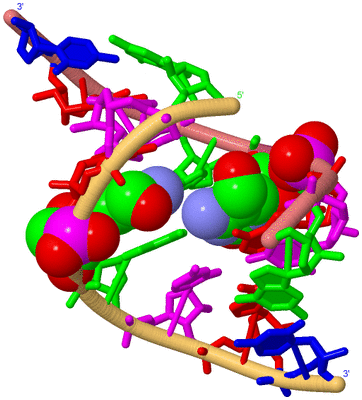 Image Biological Unit 4