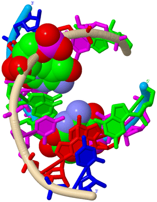 Image Biological Unit 5