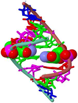 Image Biological Unit 6