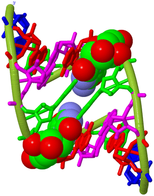 Image Biological Unit 7