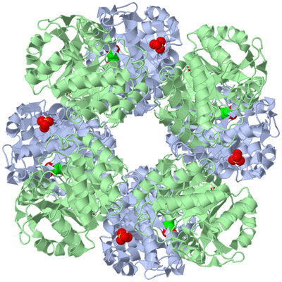 Image Biological Unit 1