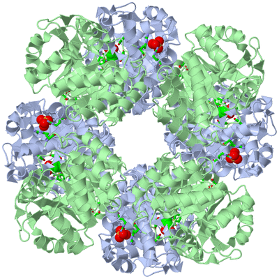 Image Biol. Unit 1 - sites