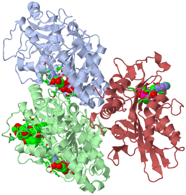 Image Asym./Biol. Unit - sites